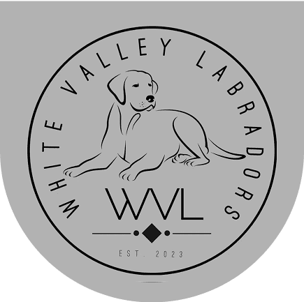 Logo of White Valley Labradors, 2023.